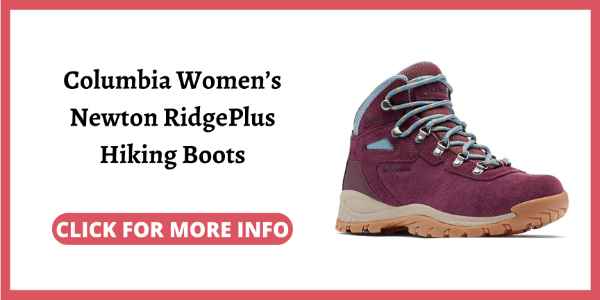 Best Womens Shoes to Wear Hiking - Columbia Womens Newton RidgePlus Hiking Boots