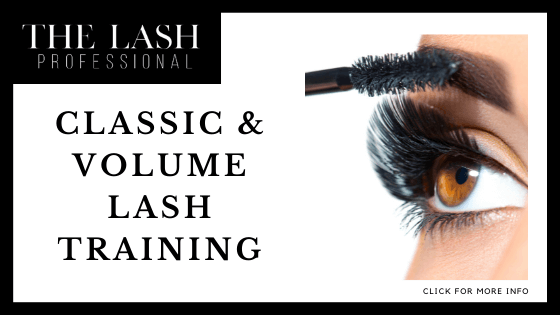 Online Beauty Courses with Certificates - The Lash Professional-Classic & Volume Lash Training