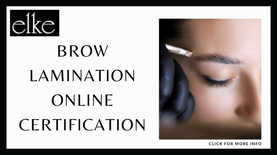Online Brow Lamination Course - Elke