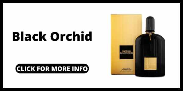 Tom Ford Perfumes for Women - Black Orchid